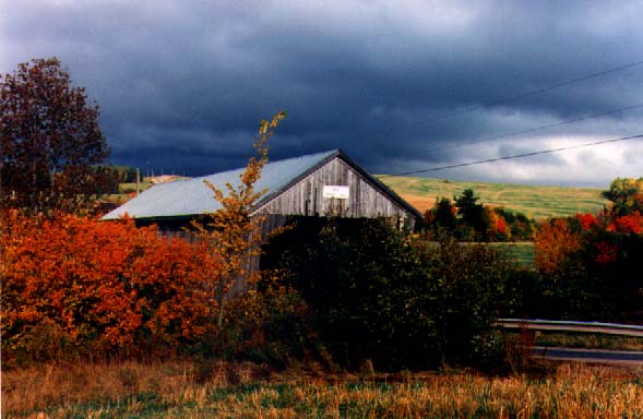 Covered Bridge in Sussex