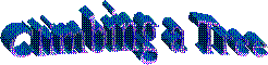 wpe2.gif (3324 bytes)