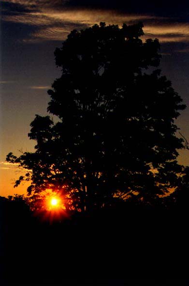 Sunset in Waterford